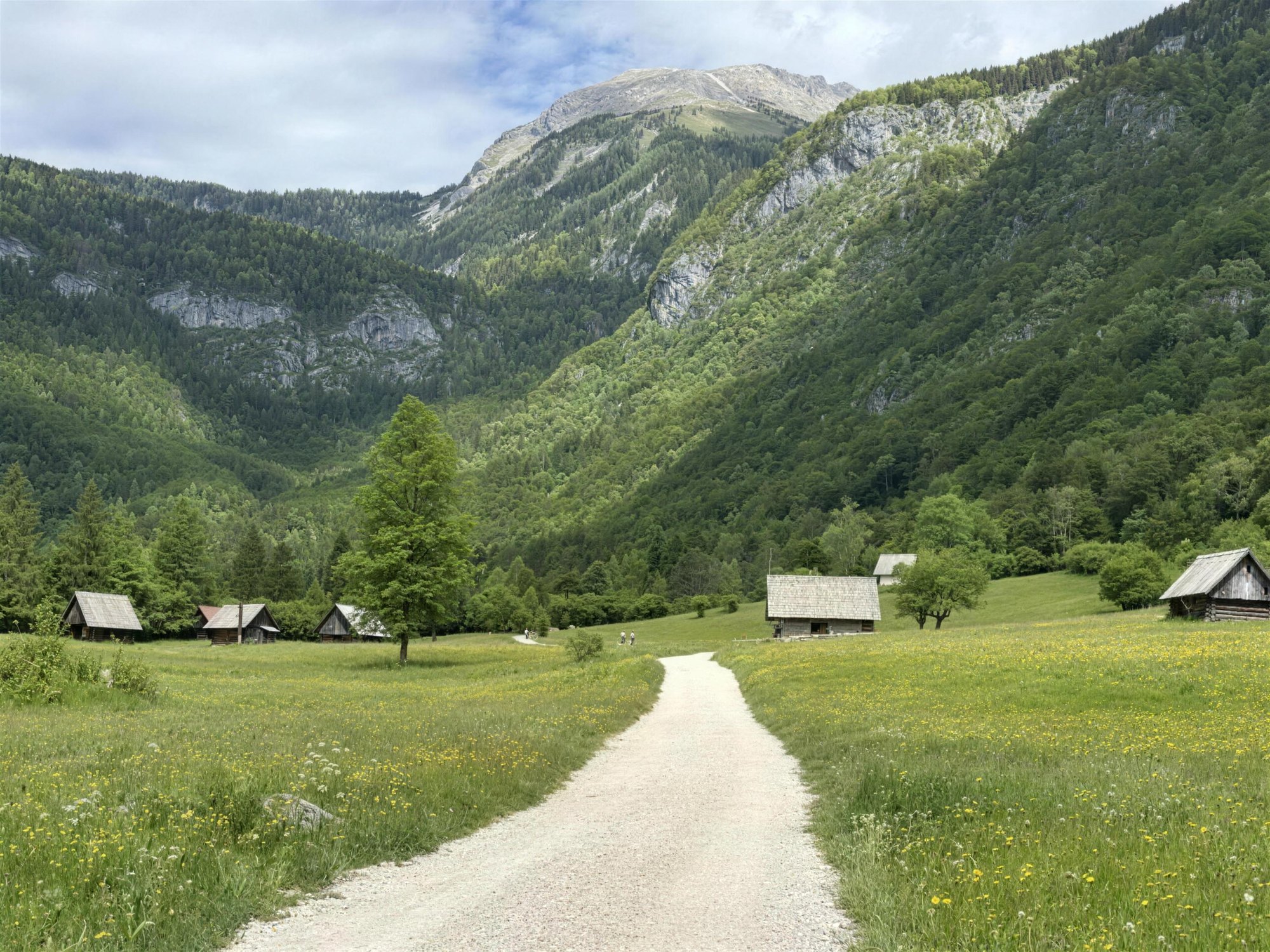 A white gravel road running through a flowering meadow of wooden hay barns below the Julian Alps