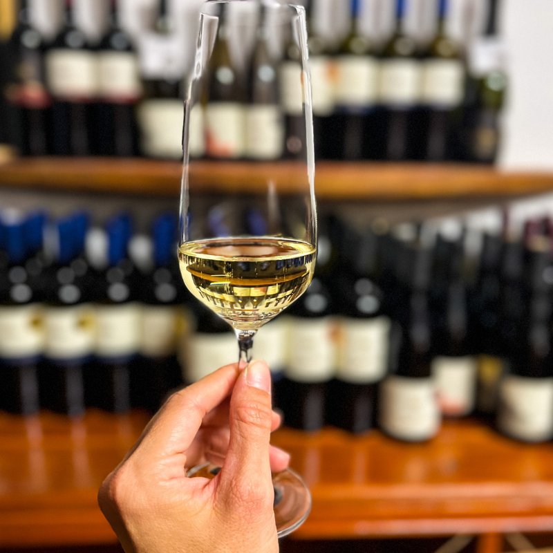 A glass of Slovenian white wine held up in front of a wine cellar rack